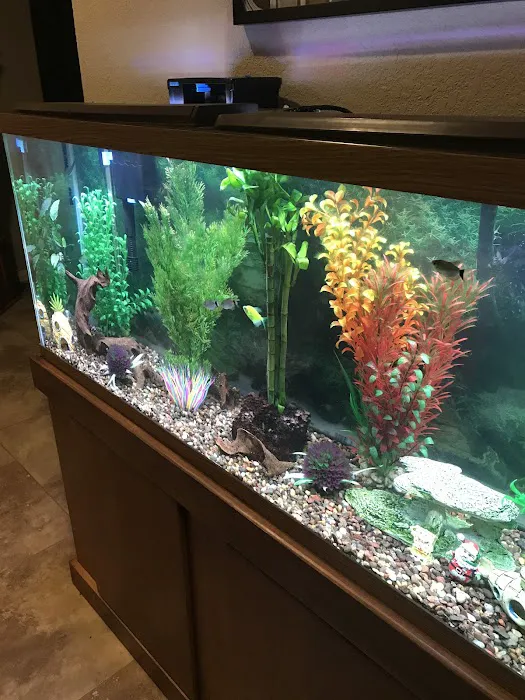 Sea Hare Aquatics 5