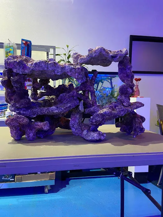 Sea Hare Aquatics 8