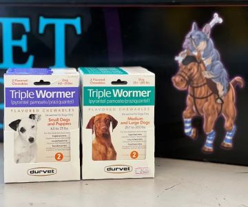 Prominent Pet Supply (DowntownSA)