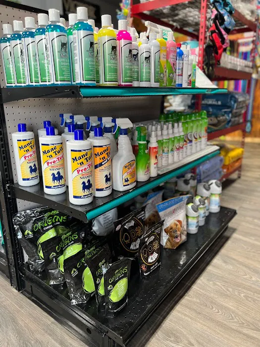 Prominent Pet Supply (DowntownSA) 12