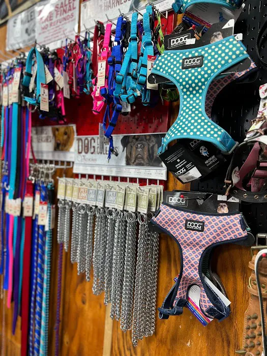 Prominent Pet Supply (DowntownSA) 12