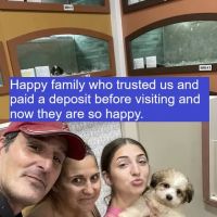The San Antonio puppies for sale ico