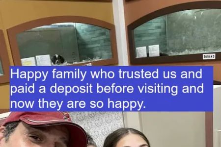 The San Antonio puppies for sale