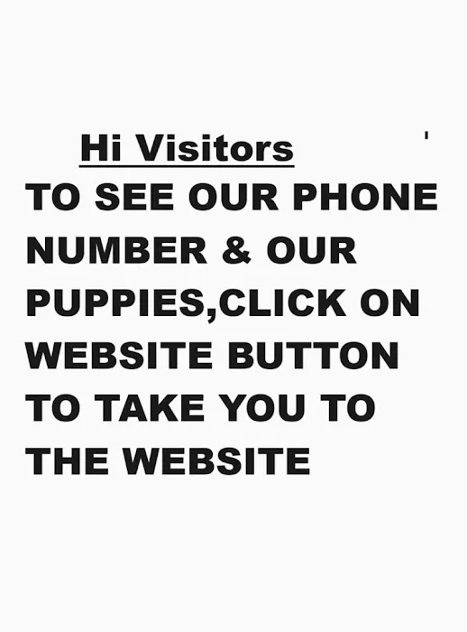 The San Antonio puppies for sale 2