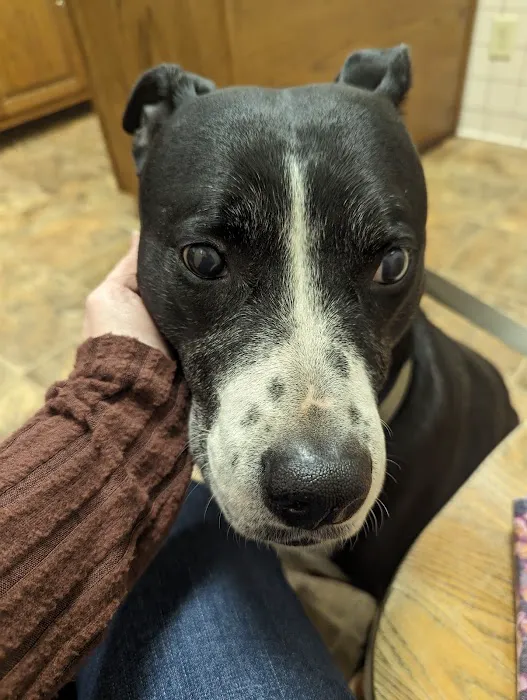 Maury County Veterinary Hospital 5