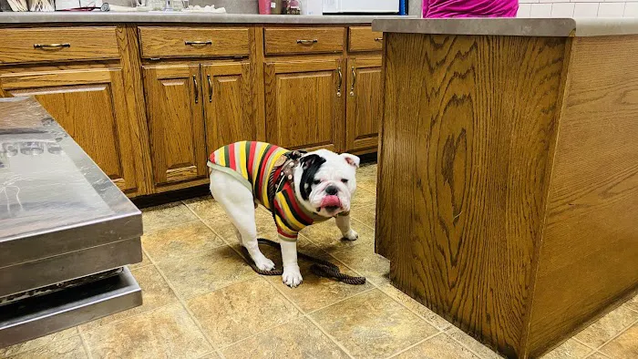 Maury County Veterinary Hospital 6
