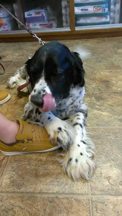 Maury County Veterinary Hospital 7