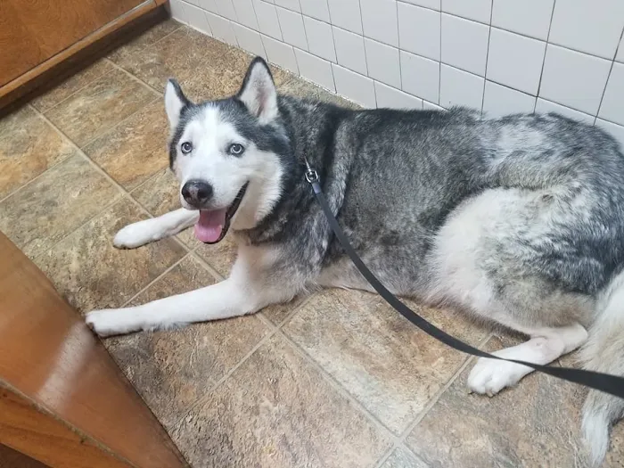 Maury County Veterinary Hospital 10