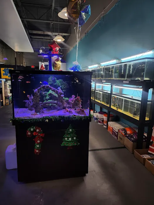 Lone Star Aquariums 12