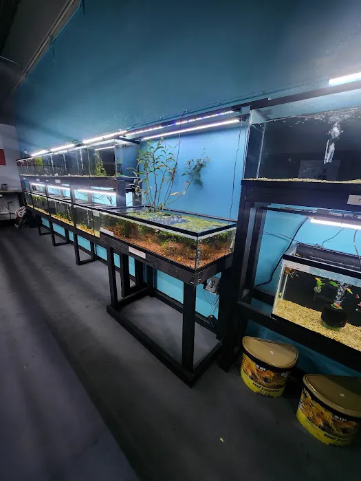 Lone Star Aquariums 12