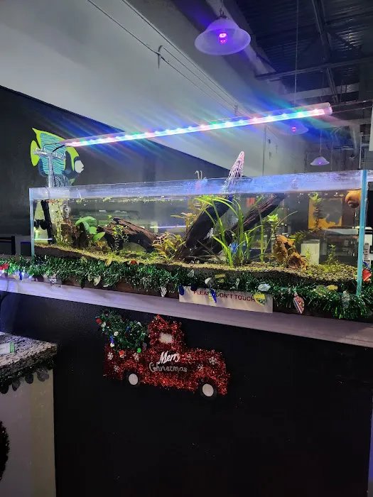 Lone Star Aquariums 12