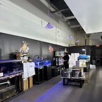Lone Star Aquariums ico
