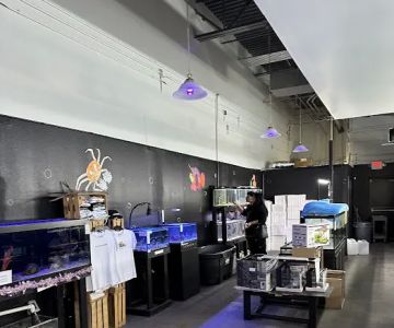 Lone Star Aquariums