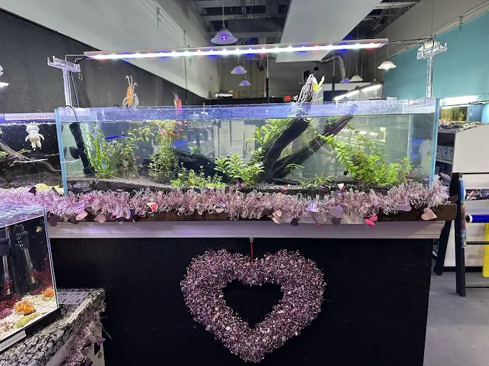 Lone Star Aquariums 12