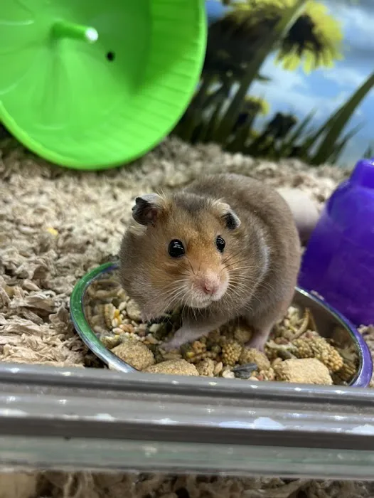 Pet Supplies Plus San Antonio - Bulverde 4