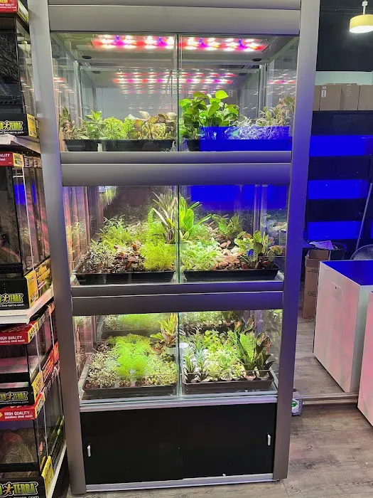 Don's Tropical Pets & Plants 2