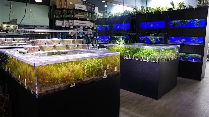 Don's Tropical Pets & Plants 10