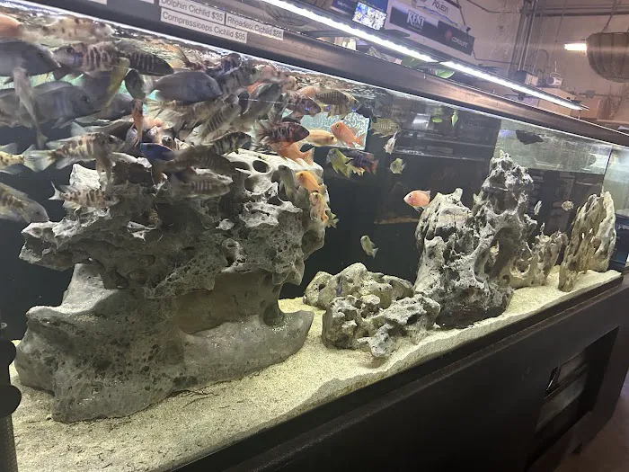 Salty Fish Aquariums 1