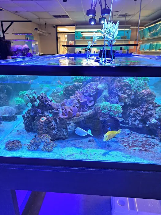 Salty Fish Aquariums 4