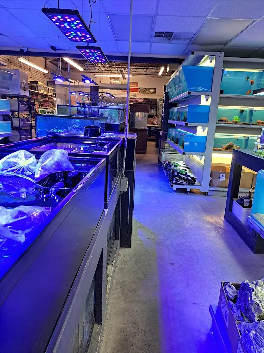 Salty Fish Aquariums 5