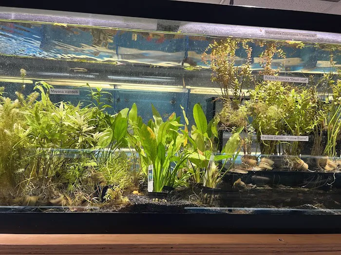 Salty Fish Aquariums 2