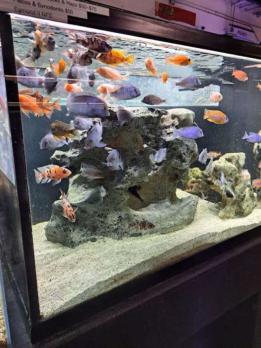 Salty Fish Aquariums 3