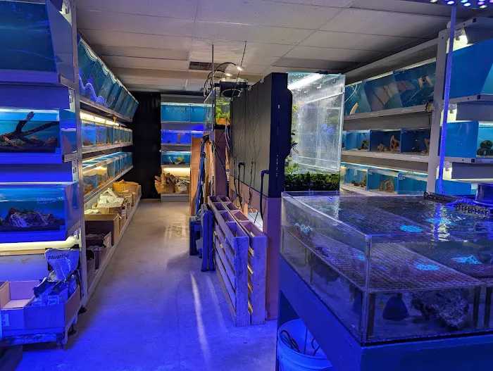 Salty Fish Aquariums 7