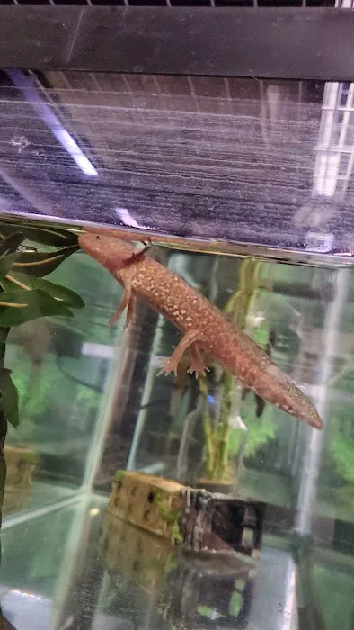 Salty Fish Aquariums 6
