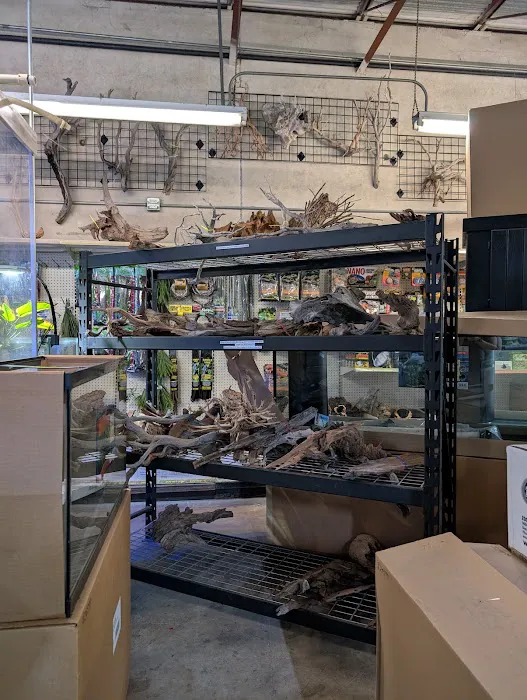 Salty Fish Aquariums 9