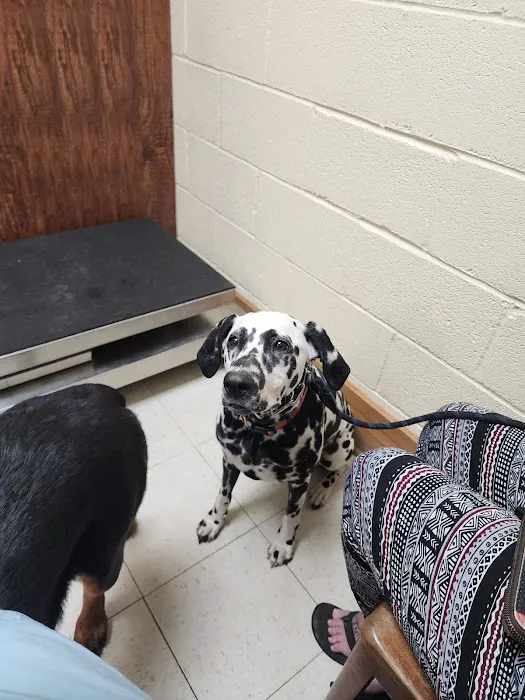 Pulaski Veterinary Clinic 3
