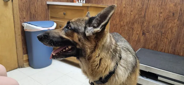 Pulaski Veterinary Clinic 7