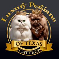Luxury Persians of Texas ico