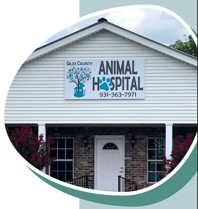 Giles County Animal Hospital 9
