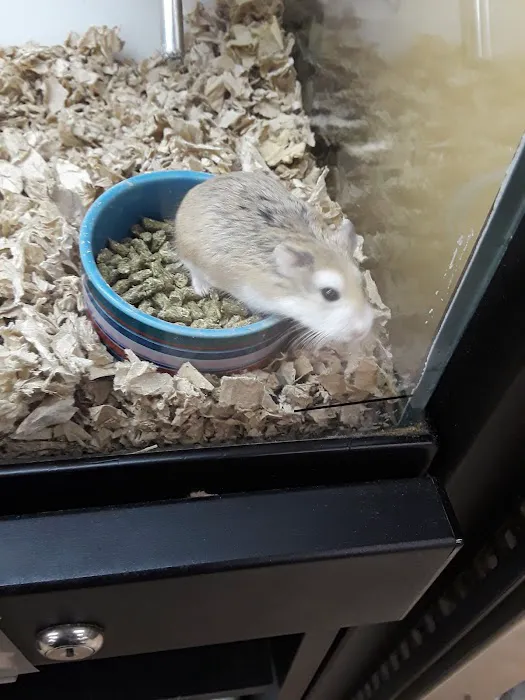 Petco 12