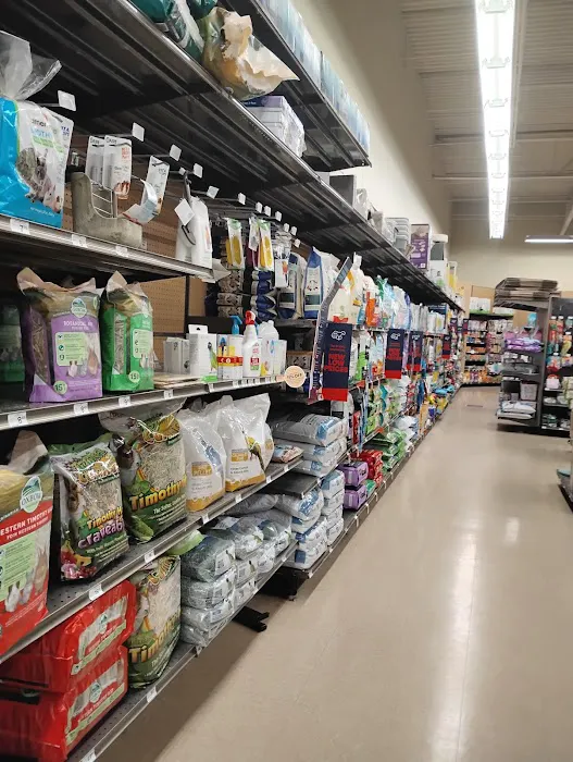 Petco 12