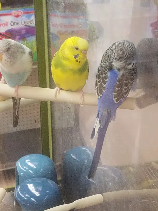 Petco 12