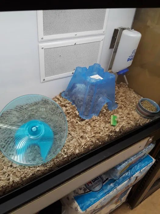 Petco 12