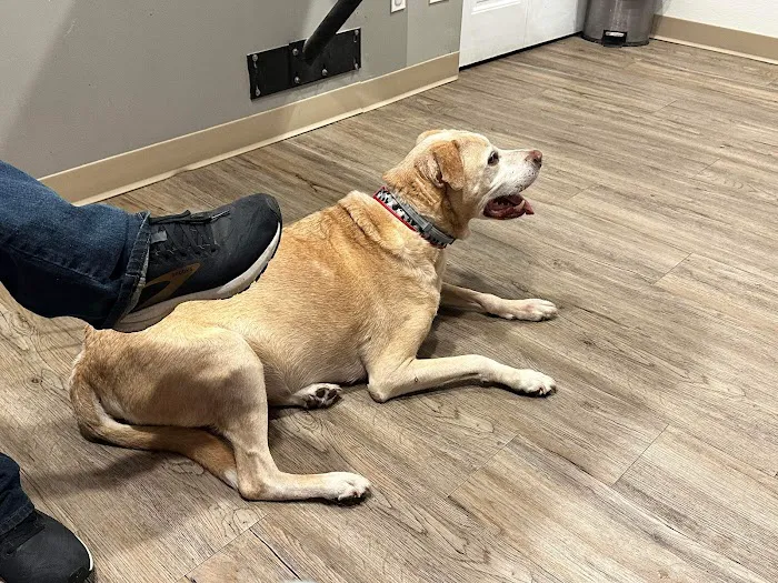 Smith County Animal Clinic 7
