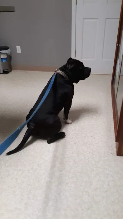 Smith County Animal Clinic 8