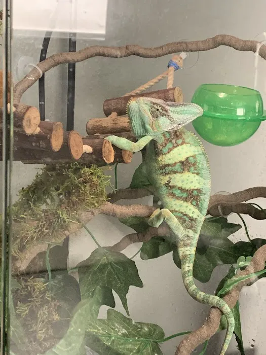 Reptile Pets Direct 12