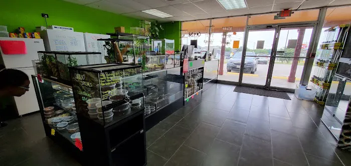 Reptile Pets Direct 12