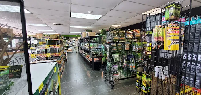 Reptile Pets Direct 12