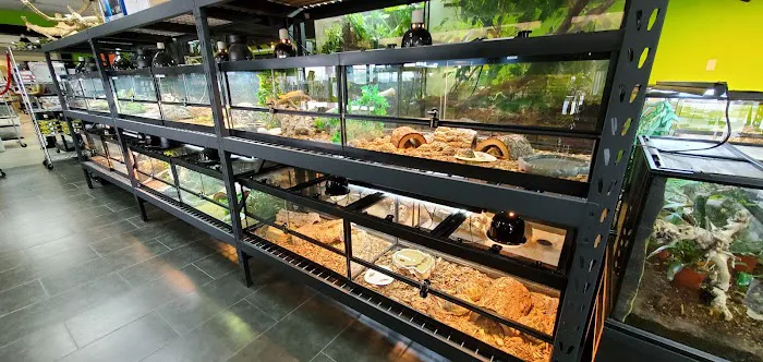 Reptile Pets Direct 12