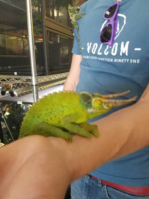Reptile Pets Direct 12