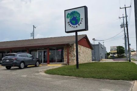 Reptile Pets Direct