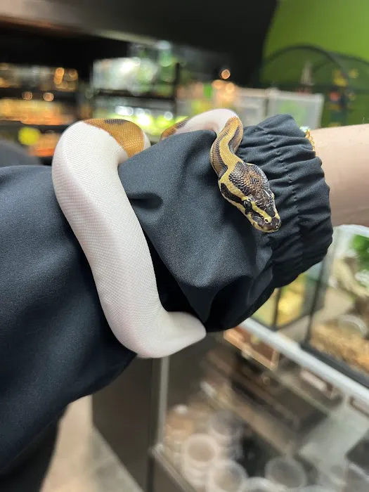 Reptile Pets Direct 12