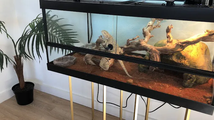 Reptile Pets Direct 12