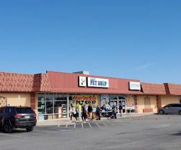 Polly's Pet Shop
