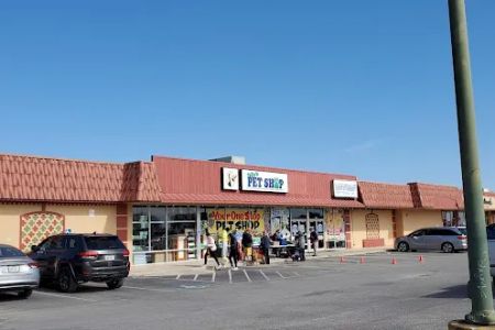 Polly's Pet Shop