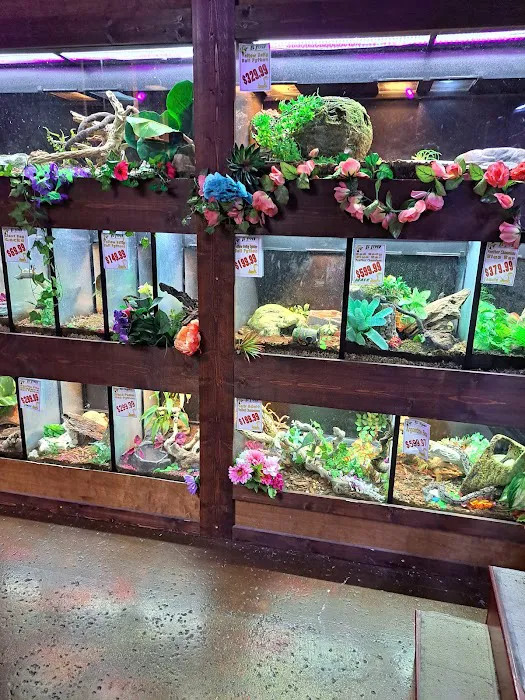 Polly's Pet Shop 7